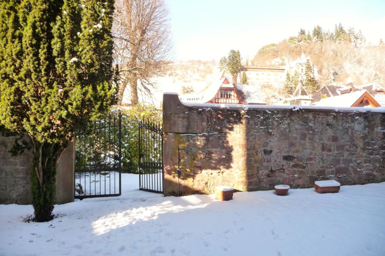 B&B La Cle D'Alsace Sainte-Marie-aux-Mines Bagian luar foto
